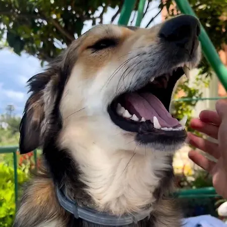 Super Horizont- Sea View With Private Jacuzzi Time & Free Parking Konukevi 3*